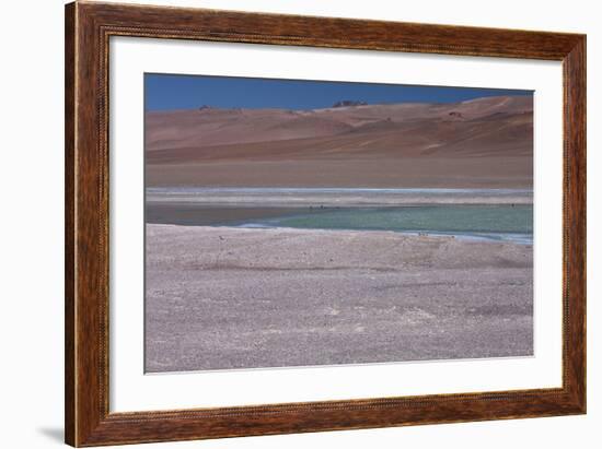 Altiplano, Chile, in the Atacama Desert Is This Green Lagoon-Mallorie Ostrowitz-Framed Photographic Print