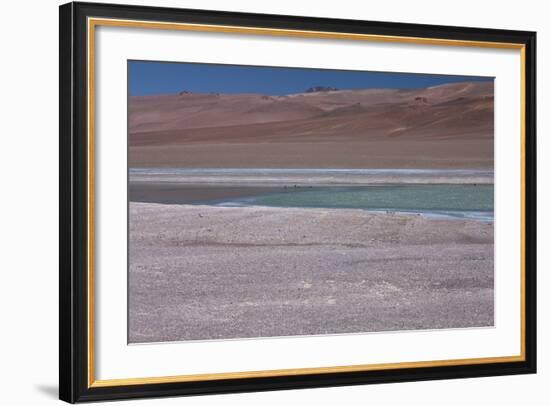 Altiplano, Chile, in the Atacama Desert Is This Green Lagoon-Mallorie Ostrowitz-Framed Photographic Print