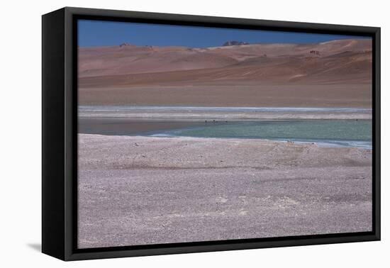 Altiplano, Chile, in the Atacama Desert Is This Green Lagoon-Mallorie Ostrowitz-Framed Premier Image Canvas