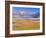 Altiplano, Los Flamencos National Reserve, Atacama Desert, Norte Grande, Chile-Gavin Hellier-Framed Photographic Print