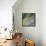 Altitude I-James Burghardt-Framed Stretched Canvas displayed on a wall