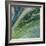 Altitude III-James Burghardt-Framed Art Print