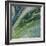 Altitude III-James Burghardt-Framed Premium Giclee Print