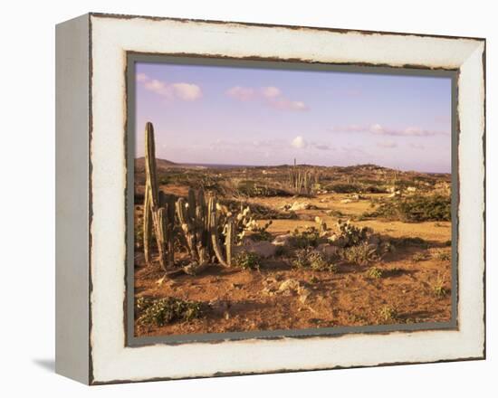 Alto Vista Cactus Desert, Aruba, West Indies, Dutch Caribbean, Central America-Sergio Pitamitz-Framed Premier Image Canvas