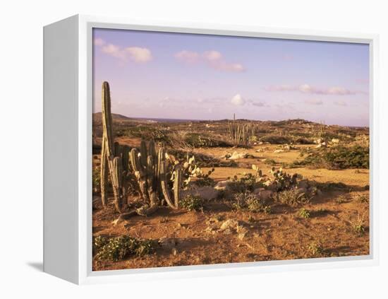 Alto Vista Cactus Desert, Aruba, West Indies, Dutch Caribbean, Central America-Sergio Pitamitz-Framed Premier Image Canvas
