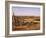 Alto Vista Cactus Desert, Aruba, West Indies, Dutch Caribbean, Central America-Sergio Pitamitz-Framed Photographic Print