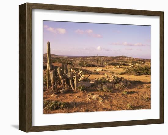 Alto Vista Cactus Desert, Aruba, West Indies, Dutch Caribbean, Central America-Sergio Pitamitz-Framed Photographic Print