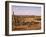 Alto Vista Cactus Desert, Aruba, West Indies, Dutch Caribbean, Central America-Sergio Pitamitz-Framed Photographic Print