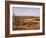 Alto Vista Cactus Desert, Aruba, West Indies, Dutch Caribbean, Central America-Sergio Pitamitz-Framed Photographic Print