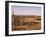 Alto Vista Cactus Desert, Aruba, West Indies, Dutch Caribbean, Central America-Sergio Pitamitz-Framed Photographic Print