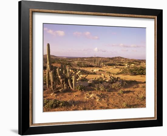 Alto Vista Cactus Desert, Aruba, West Indies, Dutch Caribbean, Central America-Sergio Pitamitz-Framed Photographic Print