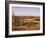 Alto Vista Cactus Desert, Aruba, West Indies, Dutch Caribbean, Central America-Sergio Pitamitz-Framed Photographic Print