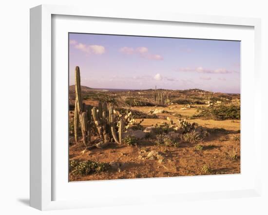 Alto Vista Cactus Desert, Aruba, West Indies, Dutch Caribbean, Central America-Sergio Pitamitz-Framed Photographic Print