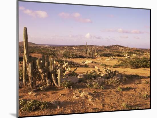 Alto Vista Cactus Desert, Aruba, West Indies, Dutch Caribbean, Central America-Sergio Pitamitz-Mounted Photographic Print