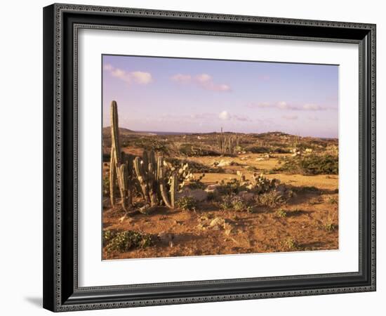 Alto Vista Cactus Desert, Aruba, West Indies, Dutch Caribbean, Central America-Sergio Pitamitz-Framed Photographic Print