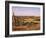 Alto Vista Cactus Desert, Aruba, West Indies, Dutch Caribbean, Central America-Sergio Pitamitz-Framed Photographic Print