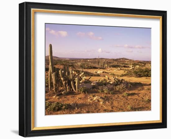 Alto Vista Cactus Desert, Aruba, West Indies, Dutch Caribbean, Central America-Sergio Pitamitz-Framed Photographic Print