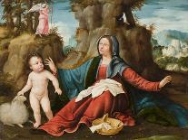 The Vision of the Virgin Mary, C.1518-20-Altobello Melone-Giclee Print