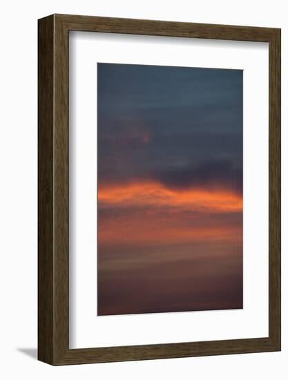 Altocumulus and Cirrus Clouds in the Evening Light-Greg Probst-Framed Photographic Print