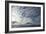 Altocumulus Cloud Cover Over Mt Erebus Volcano-Doug Allan-Framed Photographic Print