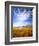 Altocumulus Clouds above Rushes and Tufa on Shore of Mono Lake, California, USA-Scott T. Smith-Framed Photographic Print