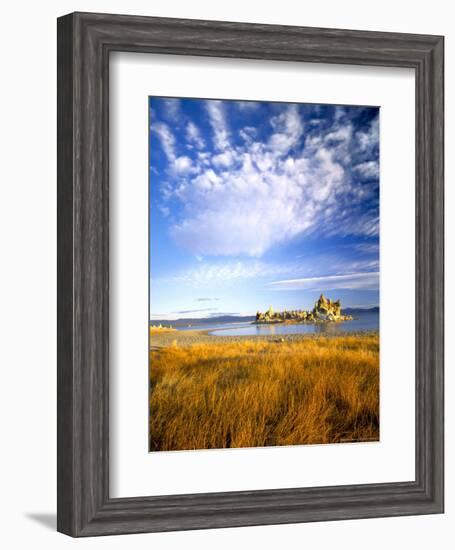 Altocumulus Clouds above Rushes and Tufa on Shore of Mono Lake, California, USA-Scott T. Smith-Framed Photographic Print