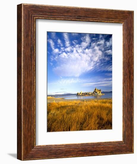 Altocumulus Clouds above Rushes and Tufa on Shore of Mono Lake, California, USA-Scott T. Smith-Framed Photographic Print