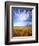 Altocumulus Clouds above Rushes and Tufa on Shore of Mono Lake, California, USA-Scott T. Smith-Framed Photographic Print