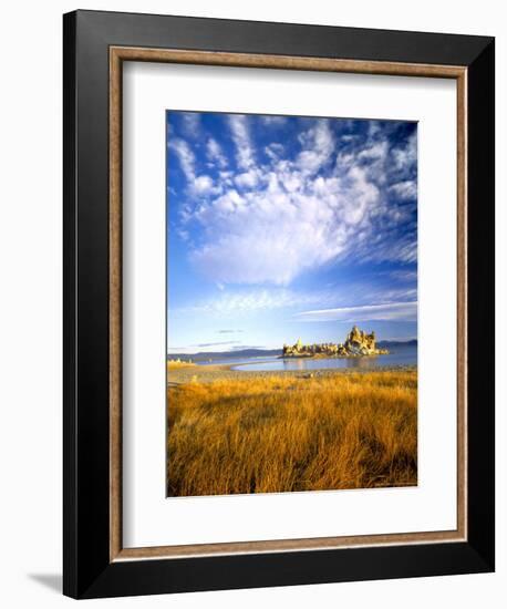 Altocumulus Clouds above Rushes and Tufa on Shore of Mono Lake, California, USA-Scott T. Smith-Framed Photographic Print