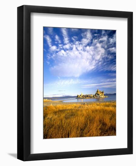 Altocumulus Clouds above Rushes and Tufa on Shore of Mono Lake, California, USA-Scott T. Smith-Framed Photographic Print