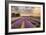 Alton Lavender Farm, Hampshire, Uk-Chris Button-Framed Photographic Print