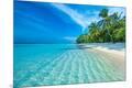 Premium Photographic Print
