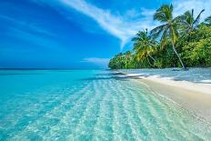 Maldives Islands Ocean Tropical Beach-Altug Galip-Premier Image Canvas