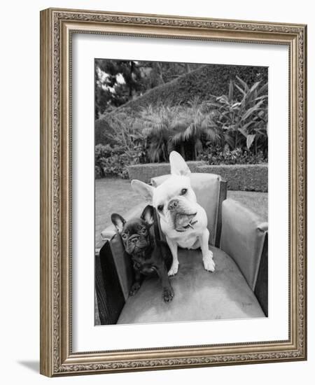 Always Friends-Jim Dratfield-Framed Photo