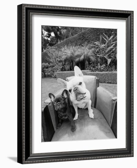 Always Friends-Jim Dratfield-Framed Photo