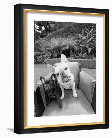 Always Friends-Jim Dratfield-Framed Photo