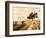 Always take the Scenic Route-Ynon Mabat-Framed Art Print