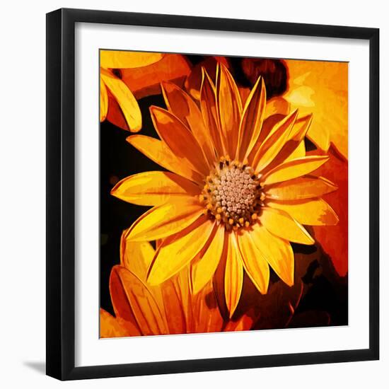 Always-Philippe Sainte-Laudy-Framed Photographic Print