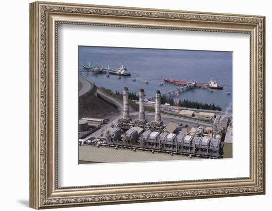 Alyeska Pipeline Terminal-DLILLC-Framed Photographic Print