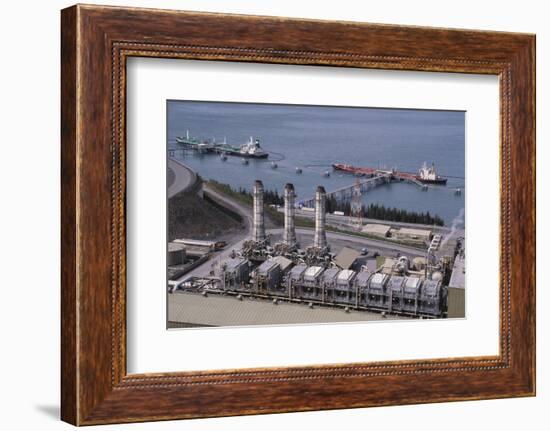 Alyeska Pipeline Terminal-DLILLC-Framed Photographic Print