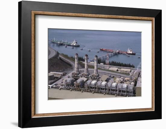 Alyeska Pipeline Terminal-DLILLC-Framed Photographic Print