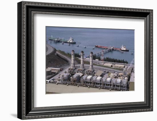 Alyeska Pipeline Terminal-DLILLC-Framed Photographic Print