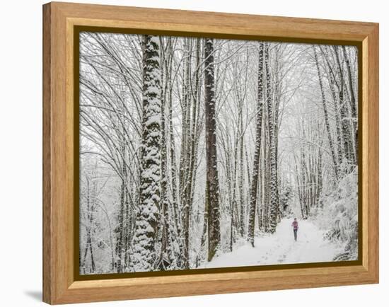 Alyson Dimmitt Gnam Trail Running in the Cascades.  Winter in Washington.-Steven Gnam-Framed Premier Image Canvas