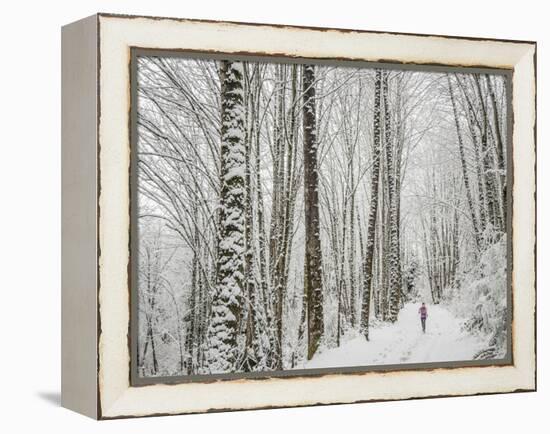 Alyson Dimmitt Gnam Trail Running in the Cascades.  Winter in Washington.-Steven Gnam-Framed Premier Image Canvas