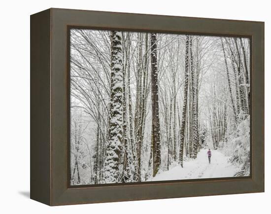 Alyson Dimmitt Gnam Trail Running in the Cascades.  Winter in Washington.-Steven Gnam-Framed Premier Image Canvas