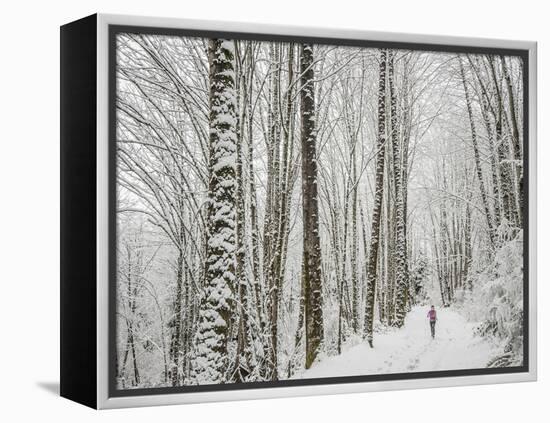 Alyson Dimmitt Gnam Trail Running in the Cascades.  Winter in Washington.-Steven Gnam-Framed Premier Image Canvas