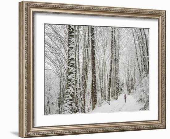 Alyson Dimmitt Gnam Trail Running in the Cascades.  Winter in Washington.-Steven Gnam-Framed Photographic Print