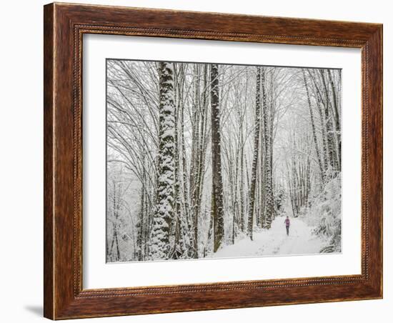 Alyson Dimmitt Gnam Trail Running in the Cascades.  Winter in Washington.-Steven Gnam-Framed Photographic Print