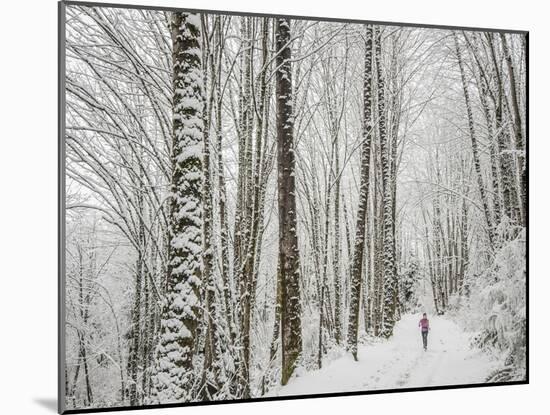 Alyson Dimmitt Gnam Trail Running in the Cascades.  Winter in Washington.-Steven Gnam-Mounted Photographic Print