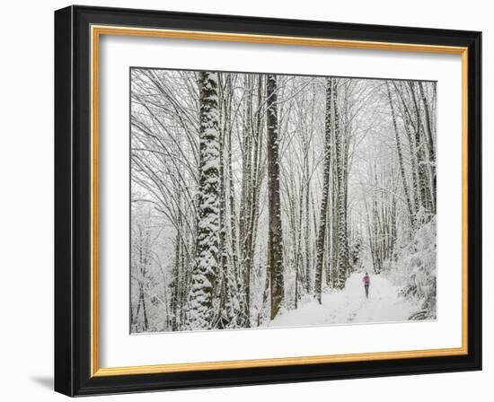 Alyson Dimmitt Gnam Trail Running in the Cascades.  Winter in Washington.-Steven Gnam-Framed Photographic Print